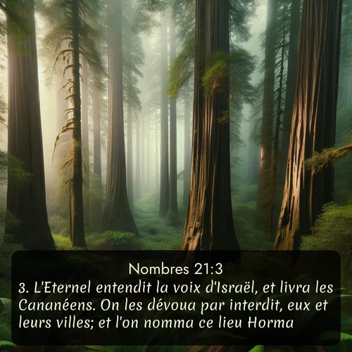 Segond 4 21:3