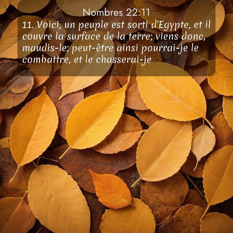 image nature avec verset biblique de la Bible