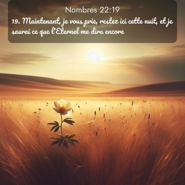 image nature avec verset biblique de la Bible