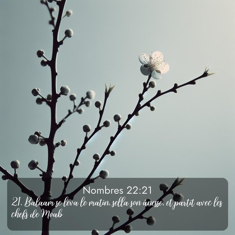 image nature avec verset biblique de la Bible