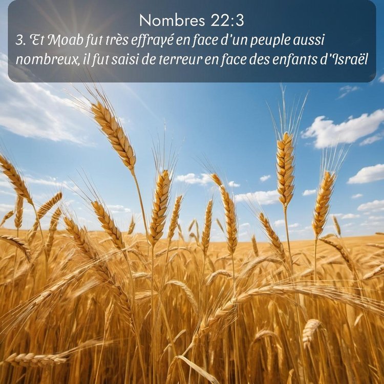 image nature avec verset biblique de la Bible