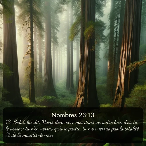 Segond Nombres  ; image nature: image avec le verset biblique :Balak lui dit: Viens donc avec moi dans un autre lieu, d&#039;où tu le verras; tu n&#039;en verras qu&#039;une partie, tu n&#039;en verras pas la totalité. Et de là maudis-le-moi. ;  ; 23:13