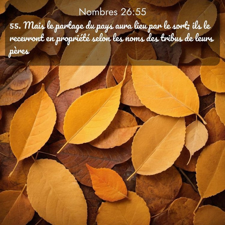 image nature avec verset biblique de la Bible