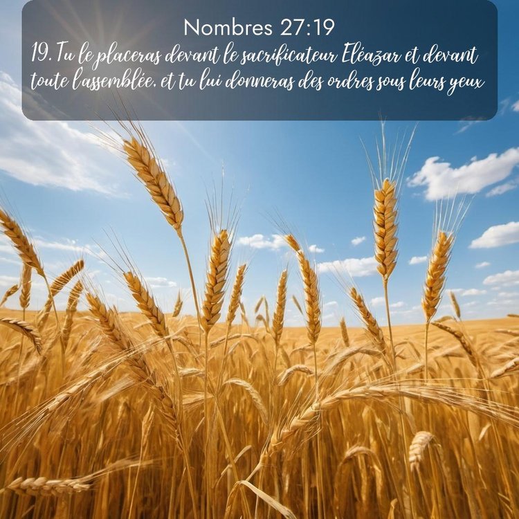 image nature avec verset biblique de la Bible