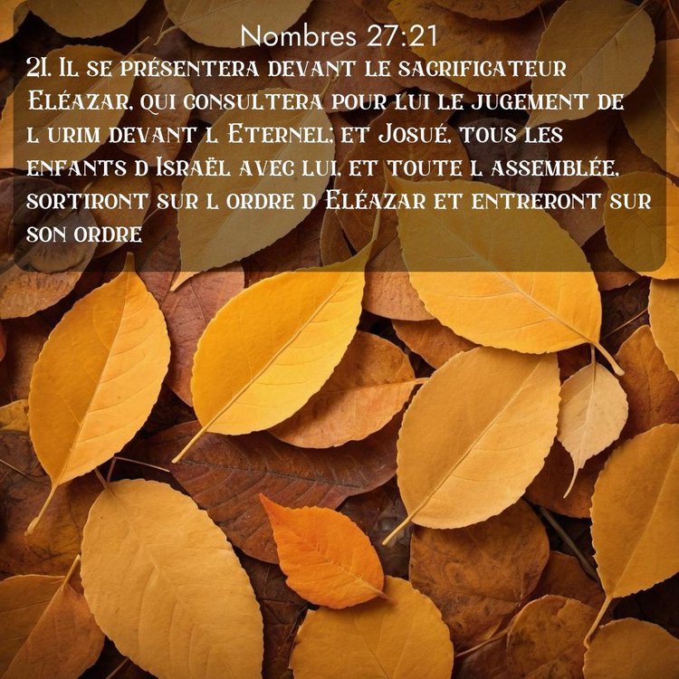 image nature avec verset biblique de la Bible