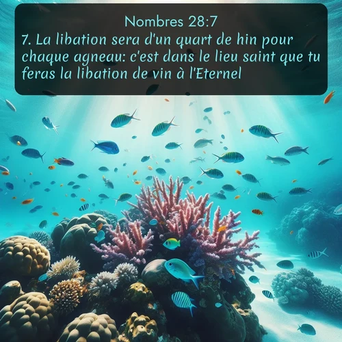 Segond Nombres  ; image nature: image avec le verset biblique :La libation sera d&#039;un quart de hin pour chaque agneau: c&#039;est dans le lieu saint que tu feras la libation de vin à l&#039;Eternel. ;  ; 28:7