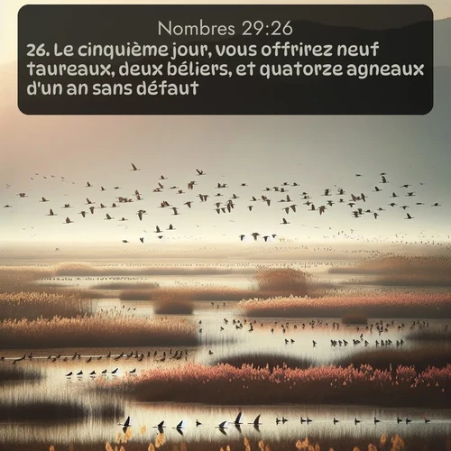 Segond Nombres  ; image nature: image avec le verset biblique :Le cinquième jour, vous offrirez neuf taureaux, deux béliers, et quatorze agneaux d&#039;un an sans défaut, ;  ; 29:26