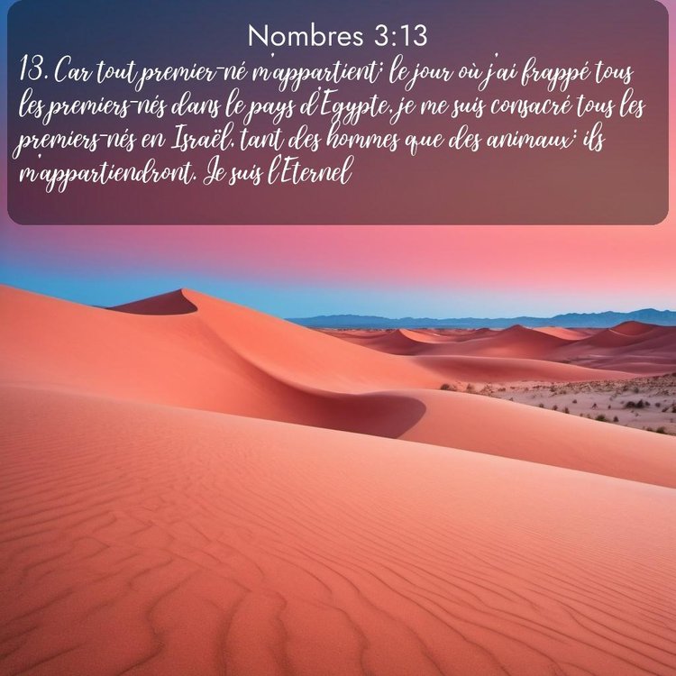 Segond Nombres 3:13