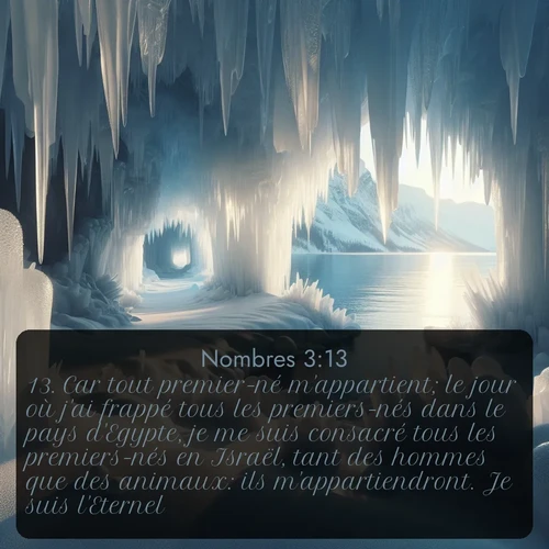 Segond Nombres  ; image nature: image avec le verset biblique :Car tout premier-né m&#039;appartient; le jour où j&#039;ai frappé tous les premiers-nés dans le pays d&#039;Egypte, je me suis consacré tous les premiers-nés en Israël, tant des hommes que des animaux: ils m&#039;appartiendront. Je suis l&#039;Eternel. ;  ; 3:13