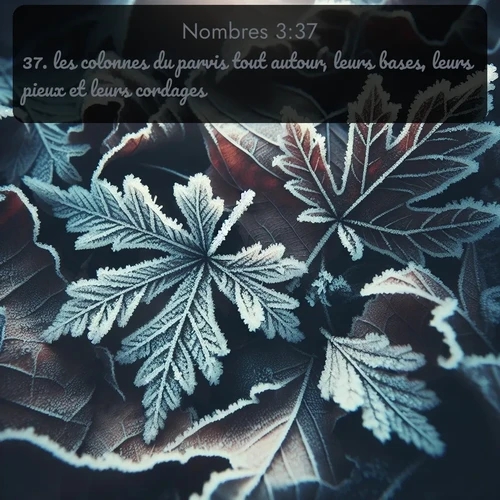 Segond Nombres  ; image nature: image avec le verset biblique :les colonnes du parvis tout autour, leurs bases, leurs pieux et leurs cordages. ;  ; 3:37