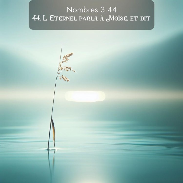 Segond Nombres 3:44