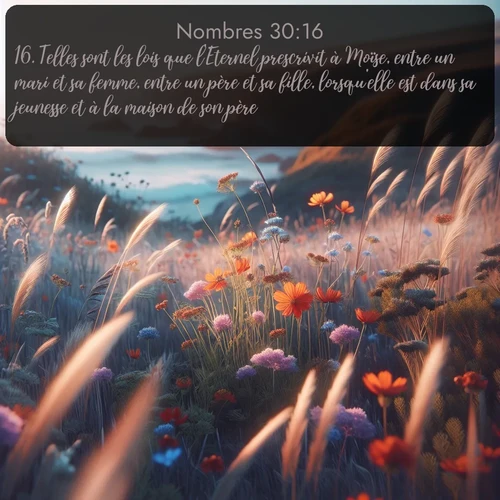 Segond Nombres  ; image nature: image avec le verset biblique :Telles sont les lois que l&#039;Eternel prescrivit à Moïse, entre un mari et sa femme, entre un père et sa fille, lorsqu&#039;elle est dans sa jeunesse et à la maison de son père. ;  ; 30:16
