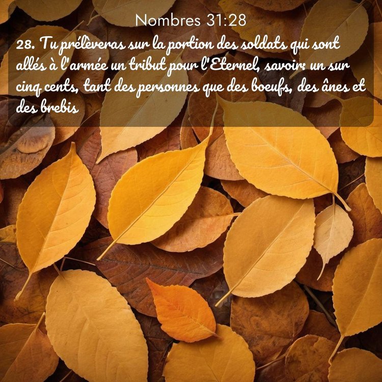 Segond Nombres 31:28