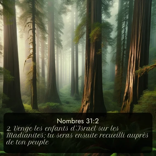 Segond 4 31:2