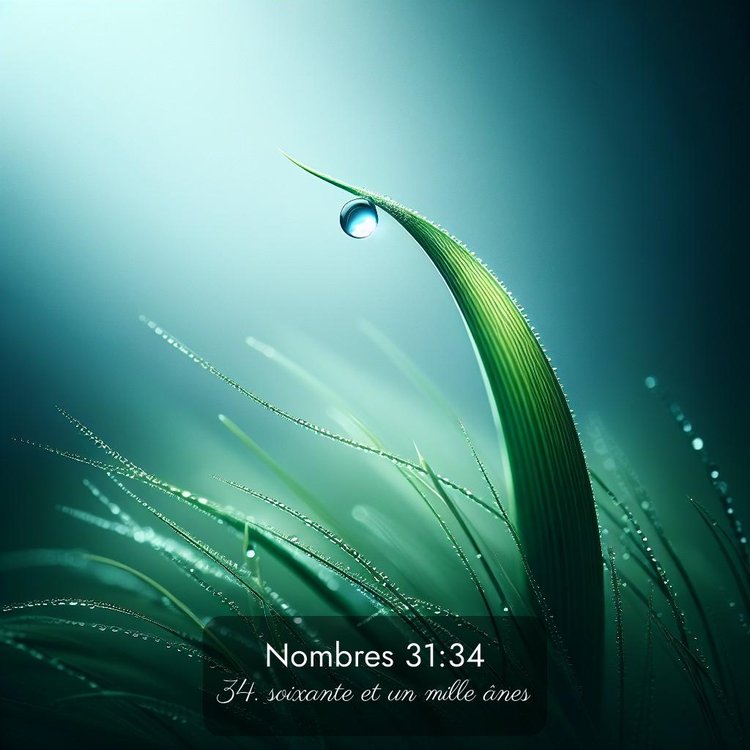 image nature avec verset biblique de la Bible