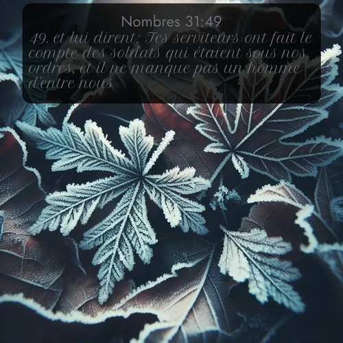 Segond Nombres  ; image nature: image avec le verset biblique :et lui dirent: Tes serviteurs ont fait le compte des soldats qui étaient sous nos ordres, et il ne manque pas un homme d&#039;entre nous. ;  ; 31:49