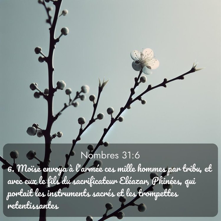 image nature avec verset biblique de la Bible