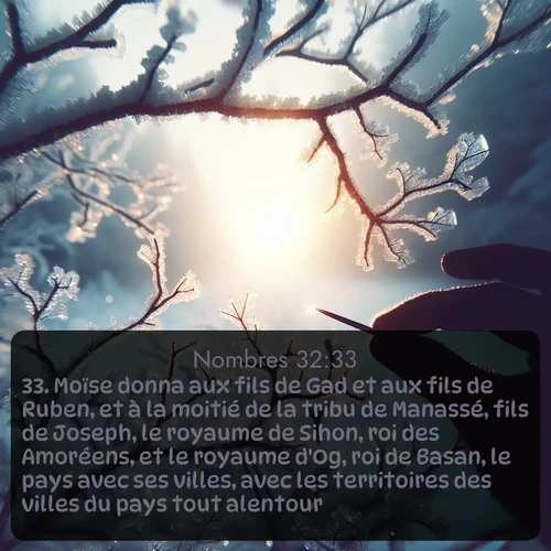 Segond Nombres  ; image nature: image avec le verset biblique :Moïse donna aux fils de Gad et aux fils de Ruben, et à la moitié de la tribu de Manassé, fils de Joseph, le royaume de Sihon, roi des Amoréens, et le royaume d&#039;Og, roi de Basan, le pays avec ses villes, avec les territoires des villes du pays tout alentour. ;  ; 32:33