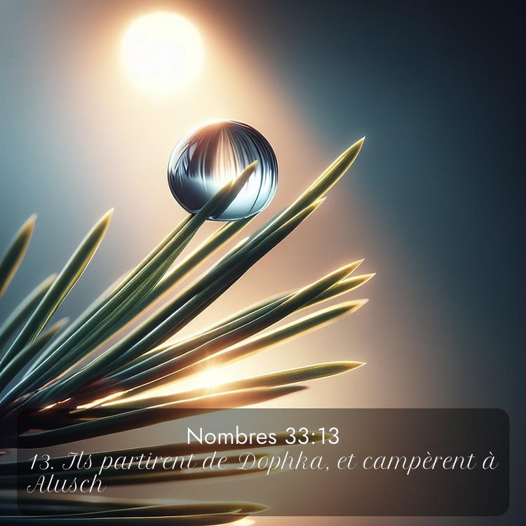 Segond Nombres 33:13