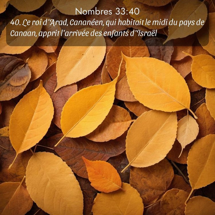image nature avec verset biblique de la Bible