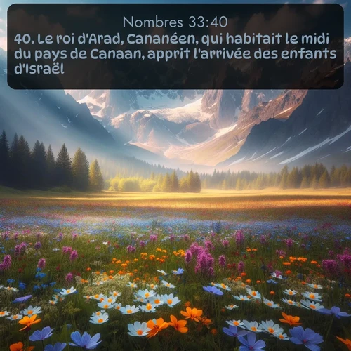 Segond Nombres  ; image nature: image avec le verset biblique :Le roi d&#039;Arad, Cananéen, qui habitait le midi du pays de Canaan, apprit l&#039;arrivée des enfants d&#039;Israël. ;  ; 33:40
