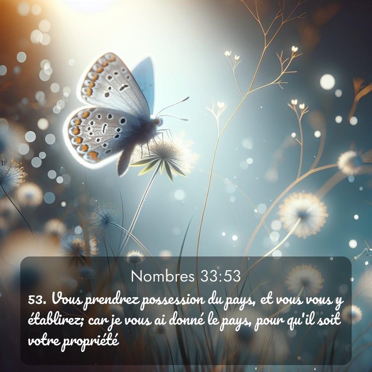 Segond Nombres 33:53