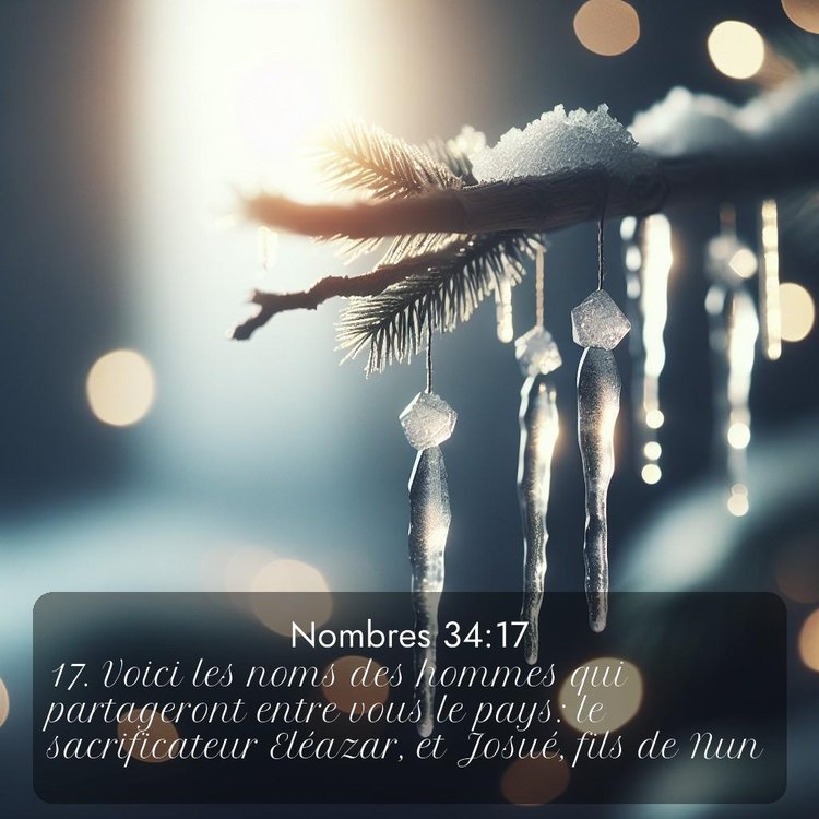 Bible Segond Nombres 34:17