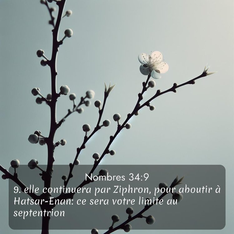 image nature avec verset biblique de la Bible