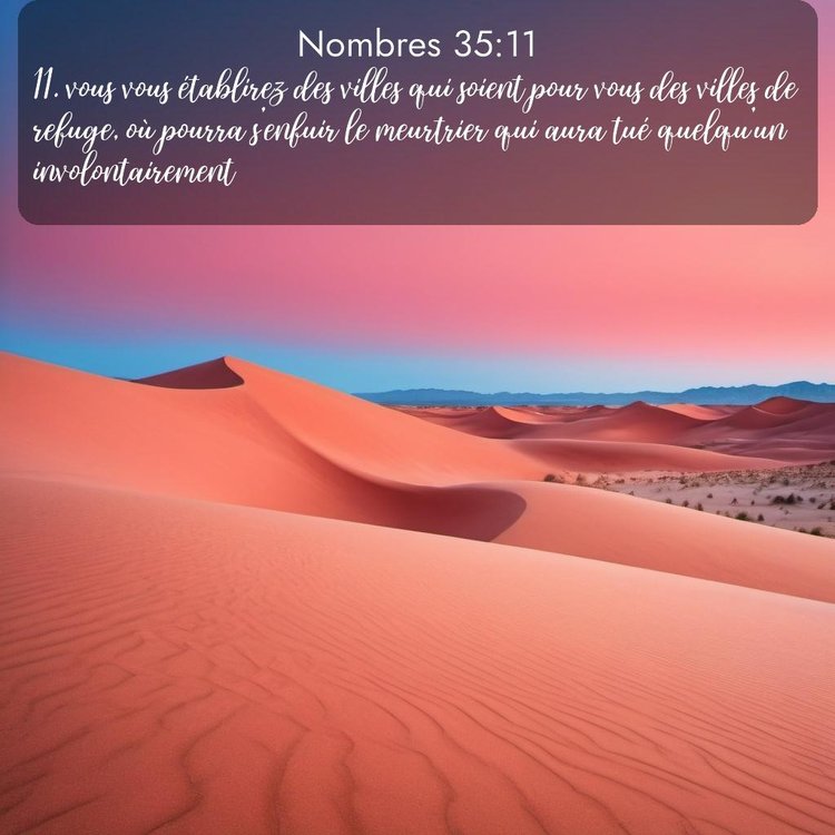 Segond Nombres 35:11