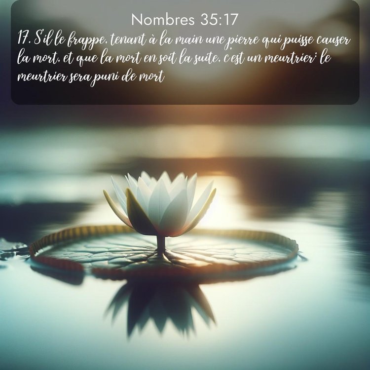 Segond Nombres 35:17