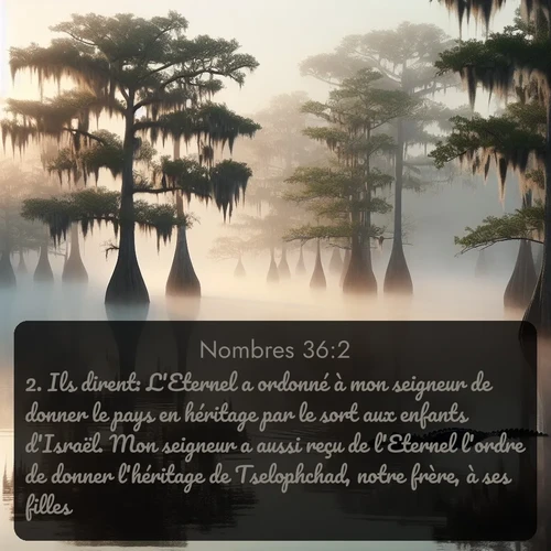 Segond Nombres  ; image nature: image avec le verset biblique :Ils dirent: L&#039;Eternel a ordonné à mon seigneur de donner le pays en héritage par le sort aux enfants d&#039;Israël. Mon seigneur a aussi reçu de l&#039;Eternel l&#039;ordre de donner l&#039;héritage de Tselophchad, notre frère, à ses filles. ;  ; 36:2