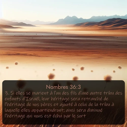 Segond Nombres  ; image nature: image avec le verset biblique :Si elles se marient à l&#039;un des fils d&#039;une autre tribu des enfants d&#039;Israël, leur héritage sera retranché de l&#039;héritage de nos pères et ajouté à celui de la tribu à laquelle elles appartiendront; ainsi sera diminué l&#039;héritage qui nous est échu par le sort. ;  ; 36:3