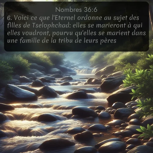 Segond Nombres  ; image nature: image avec le verset biblique :Voici ce que l&#039;Eternel ordonne au sujet des filles de Tselophchad: elles se marieront à qui elles voudront, pourvu qu&#039;elles se marient dans une famille de la tribu de leurs pères. ;  ; 36:6