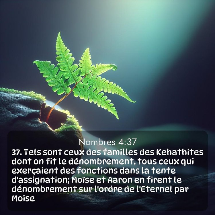 image nature avec verset biblique de la Bible
