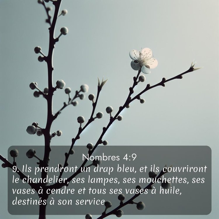 image nature avec verset biblique de la Bible