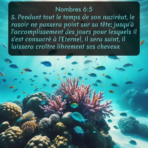 Segond Nombres  ; image nature: image avec le verset biblique :Pendant tout le temps de son naziréat, le rasoir ne passera point sur sa tête; jusqu&#039;à l&#039;accomplissement des jours pour lesquels il s&#039;est consacré à l&#039;Eternel, il sera saint, il laissera croître librement ses cheveux. ;  ; 6:5