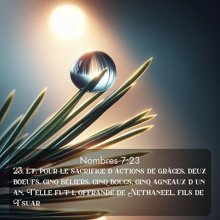 image nature avec verset biblique de la Bible