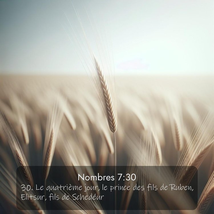 image nature avec verset biblique de la Bible