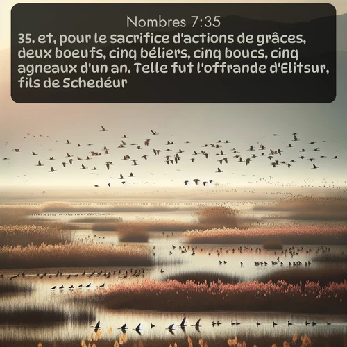 Segond Nombres  ; image nature: image avec le verset biblique :et, pour le sacrifice d&#039;actions de grâces, deux boeufs, cinq béliers, cinq boucs, cinq agneaux d&#039;un an. Telle fut l&#039;offrande d&#039;Elitsur, fils de Schedéur. ;  ; 7:35
