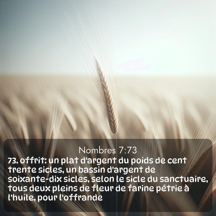 Segond Nombres 7:73