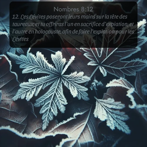 Segond Nombres  ; image nature: image avec le verset biblique :Les Lévites poseront leurs mains sur la tête des taureaux; et tu offriras l&#039;un en sacrifice d&#039;expiation, et l&#039;autre en holocauste, afin de faire l&#039;expiation pour les Lévites. ;  ; 8:12