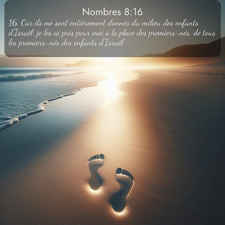 Segond Nombres 8:16