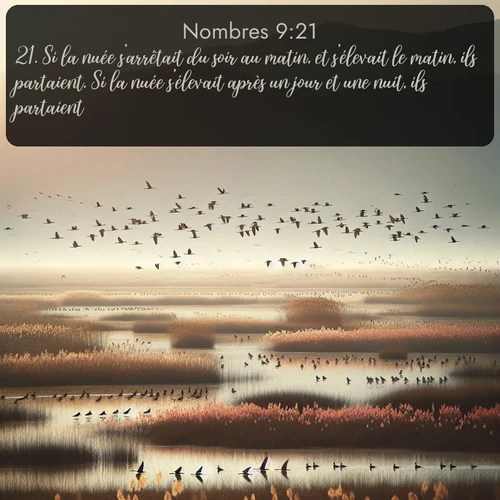 Segond Nombres  ; image nature: image avec le verset biblique :Si la nuée s&#039;arrêtait du soir au matin, et s&#039;élevait le matin, ils partaient. Si la nuée s&#039;élevait après un jour et une nuit, ils partaient. ;  ; 9:21
