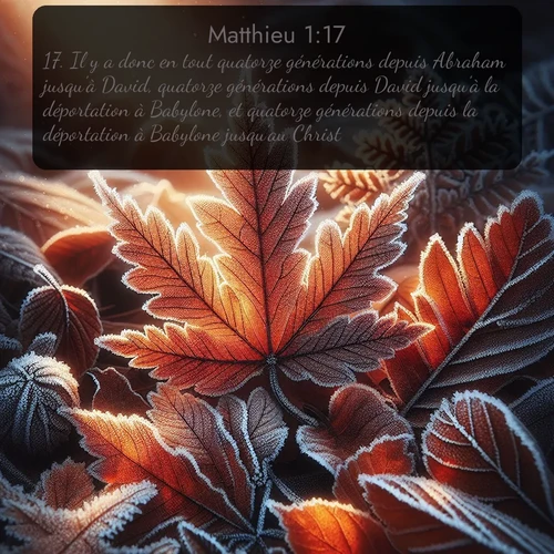 Segond Évangile selon Matthieu  ; image nature: image avec le verset biblique :Il y a donc en tout quatorze générations depuis Abraham jusqu&#039;à David, quatorze générations depuis David jusqu&#039;à la déportation à Babylone, et quatorze générations depuis la déportation à Babylone jusqu&#039;au Christ. ;  ; 1:17