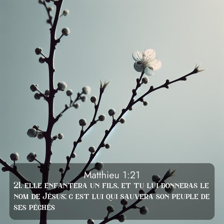 image nature avec verset biblique de la Bible