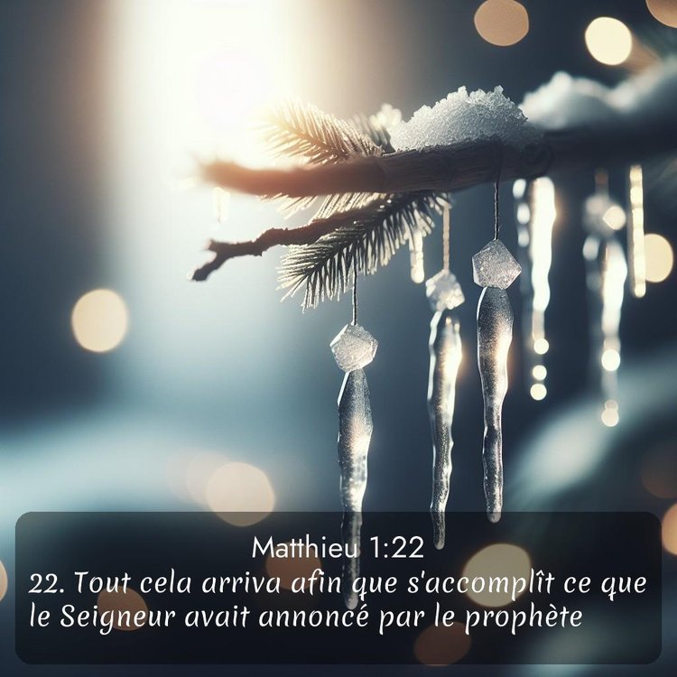 Segond Évangile selon Matthieu 1:22