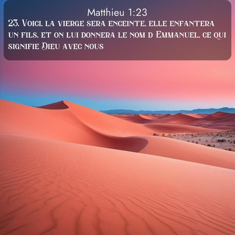 Segond Évangile selon Matthieu 1:23