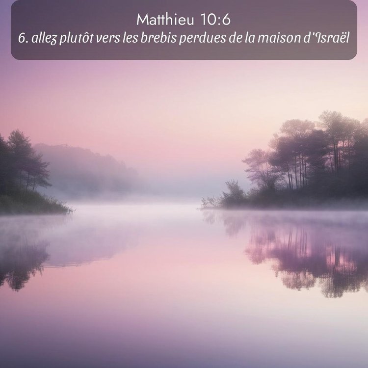 Segond Évangile selon Matthieu 10:6