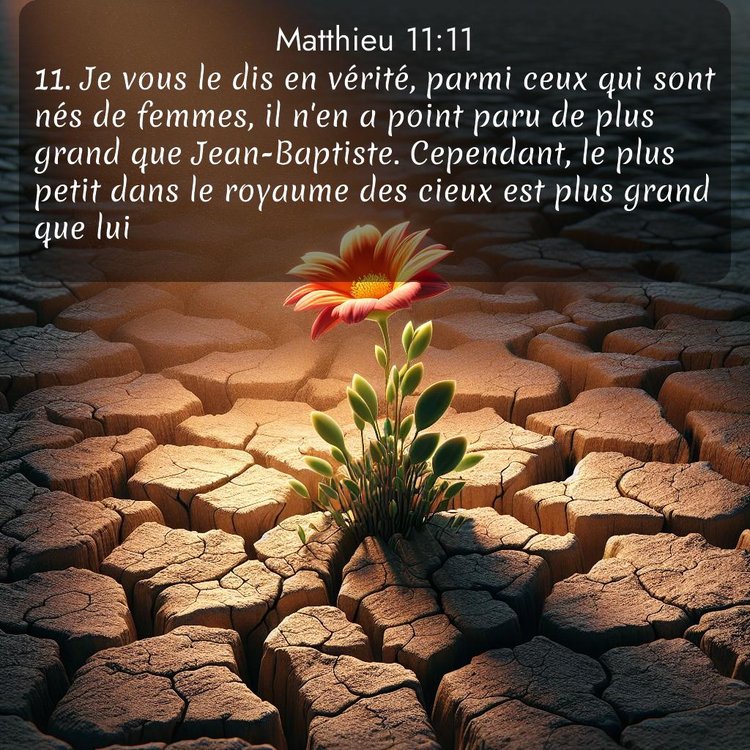 Segond Évangile selon Matthieu 11:11