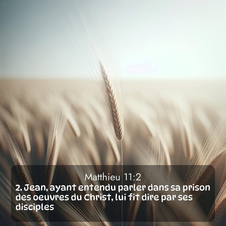 Segond Évangile selon Matthieu 11:2